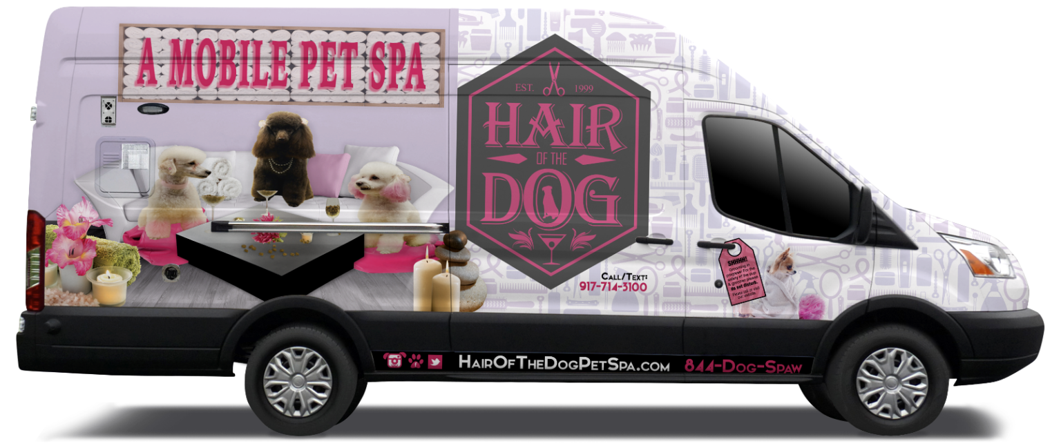 Hair of the Dog to Hair of the Dog